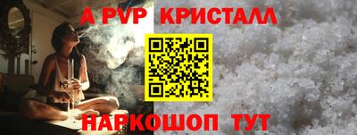 индика Гай