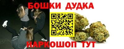 индика Гай