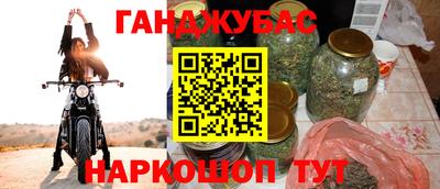 индика Гай