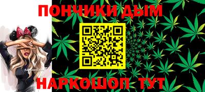 индика Гай