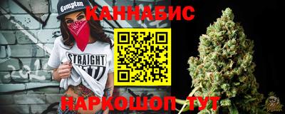 индика Гай