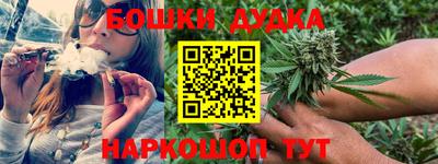 индика Гай