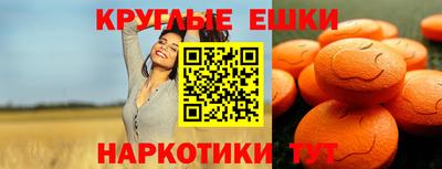 индика Гай