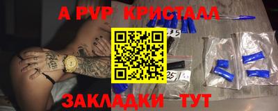 индика Гай