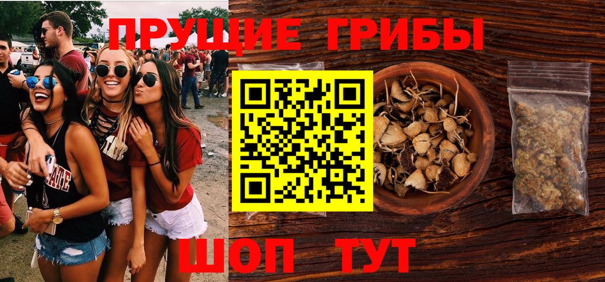 Губкин  Галлюциногенные грибы мицелий  Галлюциногенные грибы Magic Shrooms  Вход с VPN 
